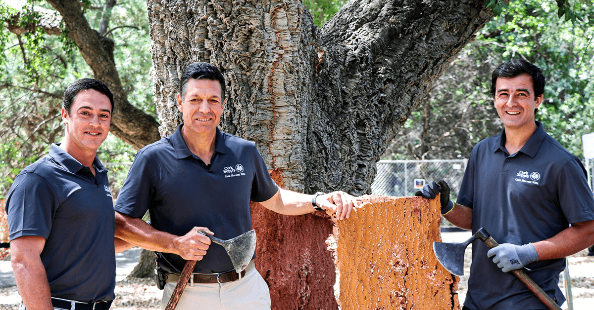 Cork Supply Advances Wine Industry Education and Sustainability Through Cork Harvesting Events