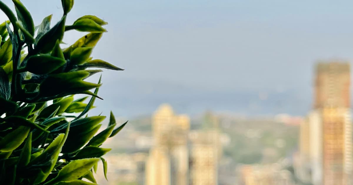 Aaron Keay's Career Trajectory Signals Shift in Canadian Business Success Metrics