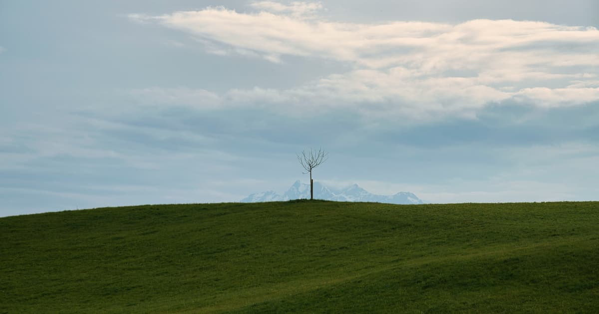 Energy Fuels' Vara Mada Feasibility Study Confirms Strong Economics and Long Mine Life for Critical Minerals Project