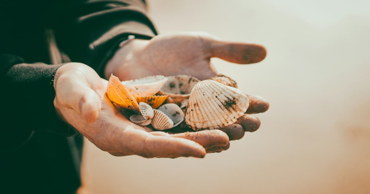 Holiday Debt Hangover Affects Millions of Americans Entering 2025 Season