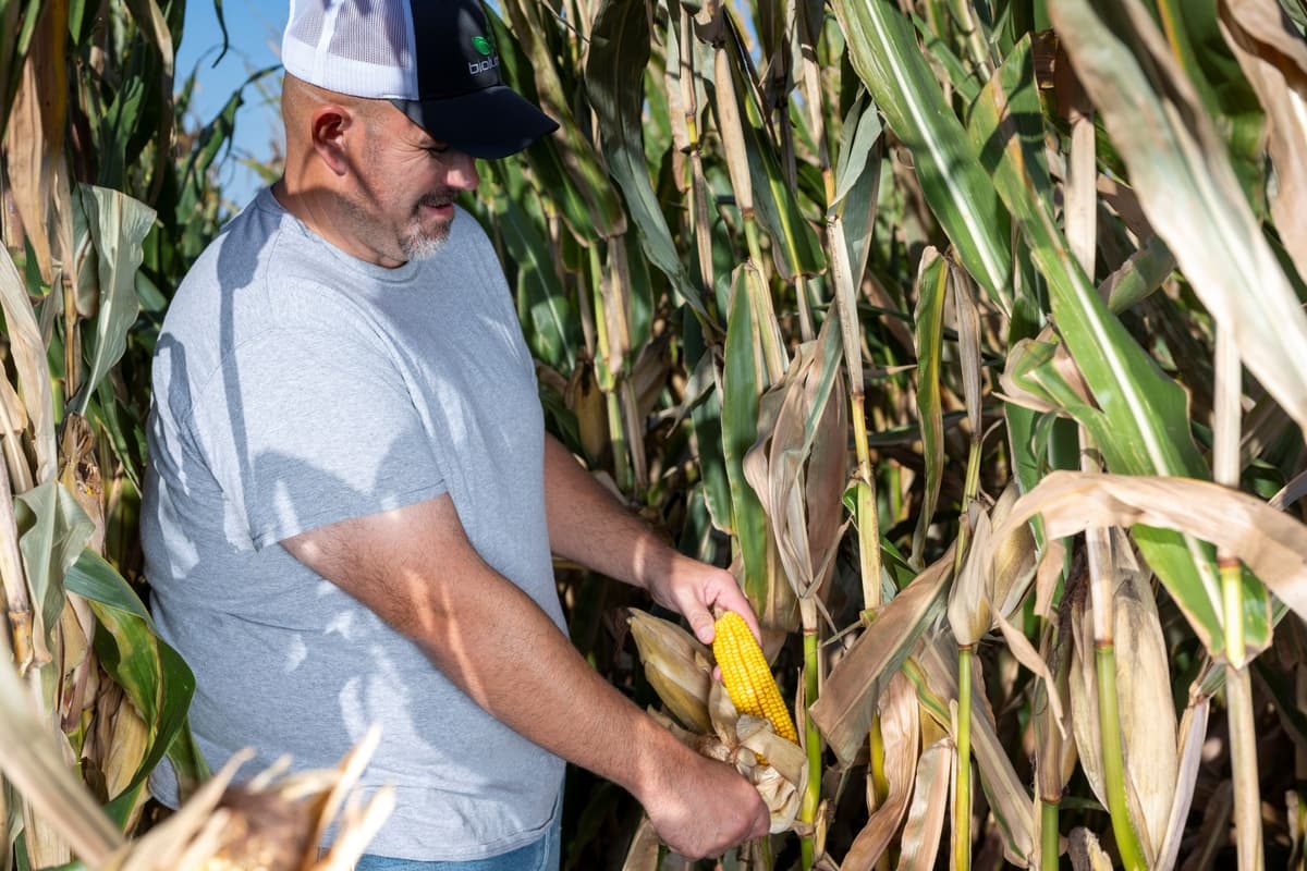 BioLumic Expands Light-Activated Corn Technology Program to South America Through Key Brazilian Partnerships