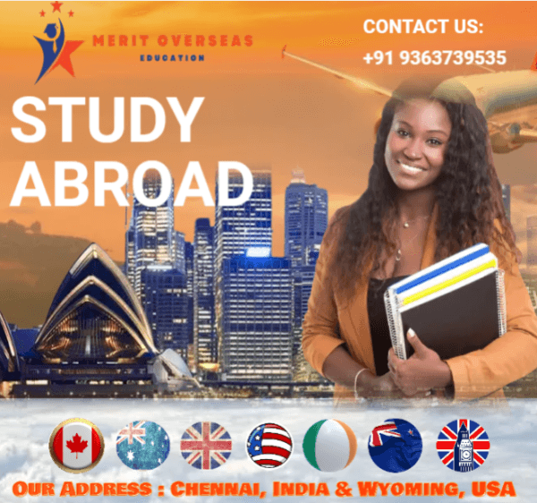 Merit Teacher Expands Educational Services with Innovative Career Development Solutions