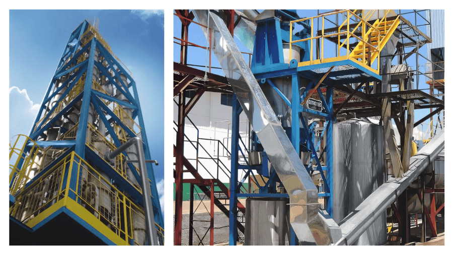 Paraguay's Citrus Industry Set for Growth with New Processing Plant