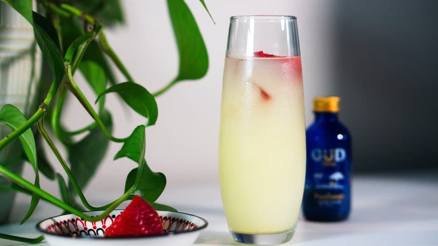 GÜD Tonics Introduces Plant-Based Wellness Drinks as Alcohol-Free Holiday Alternatives