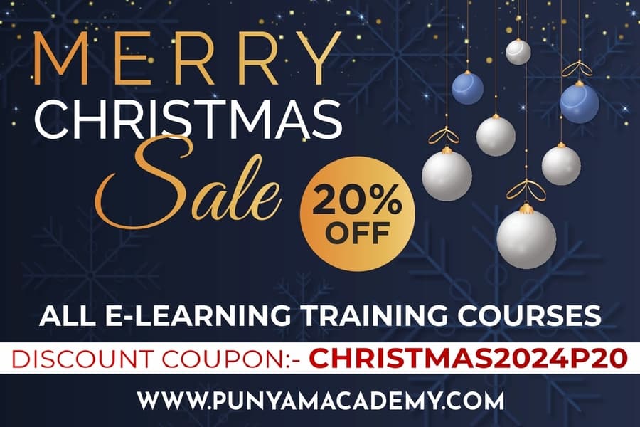 Punyam Academy Announces Christmas 2024 Discount on ISO Auditor Training Courses